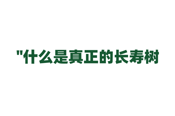 "什么是真正的长寿树？"